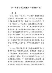 第二批不忘初主题教育心得感悟4篇