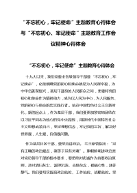 “不忘初心，牢记使命”主题教育心得体会与“不忘初心、牢记使命”主题教育工作会议精神心得体会