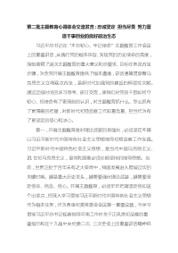 第二批主题教育心得体会交流发言：忠诚坚定 担当尽责 努力营造干事创业的良好政治生态