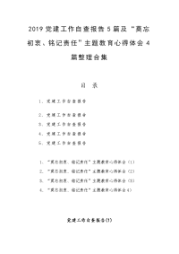 2019党建工作自查报告5篇及“莫忘初衷、铭记责任”主题教育心得体会4篇整理合集