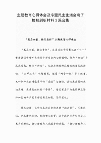 主题教育心得体会及专题民主生活会班子检视剖析材料2篇合集