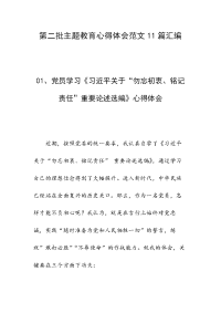 第二批主题教育心得体会范文11篇汇编