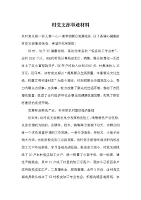 村党支部事迹材料