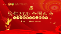 聚焦2020全国两会八个字读懂政府工作报告dPPT