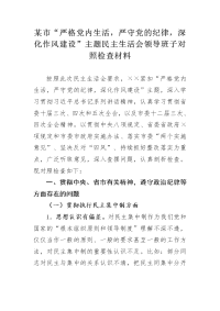 某市“严格党内生活，严守党的纪律，深化作风建设”主题民主生活会领导班子对照检查材料