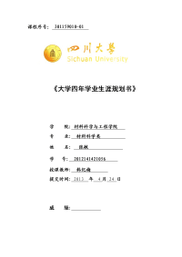 职业生涯规划(大学材料类)