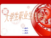 大学生会计专业职业规划ppt作业