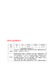 软件设计专业职业生涯规划书