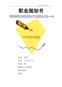 大学生职业生涯规划(给水排水工程)