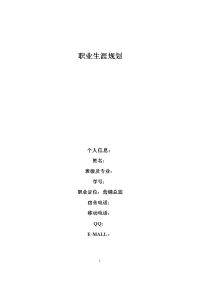 职业生涯规划模版