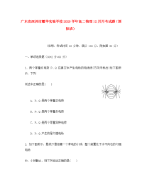 广东省深圳市耀华实验学校2020学年高二物理12月月考试题（国际班）