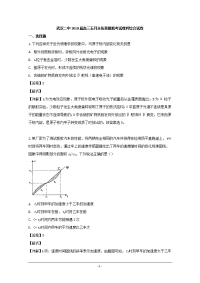 湖北省武汉二中2019届高三五月适应性考试理科物理试题 Word版含解析