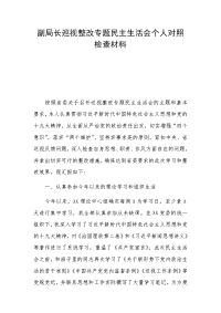 副局长巡视整改专题民主生活会个人对照检查材料