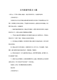 公司承诺书范文3篇