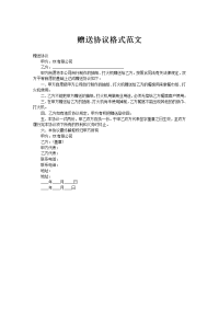赠送协议格式范文