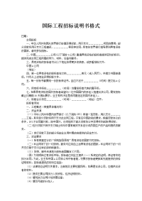 国际工程招标说明书格1