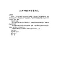 2020项目承诺书范文