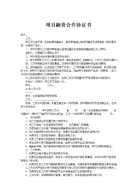 项目融资合作协议书