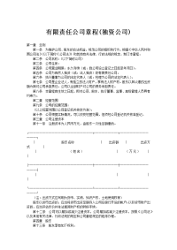 有限责任公司章程