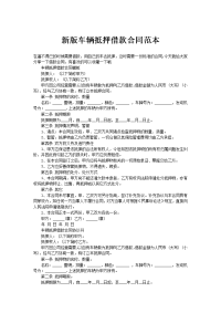 新版车辆抵押借款合同范本