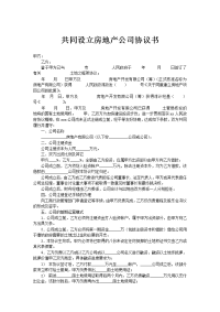共同设立房地产公司协议书