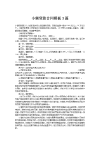 小额贷款合同模板3篇