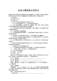 民间小额贷款合同样本