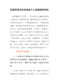 集团党委书记生活会个人检视剖析材料