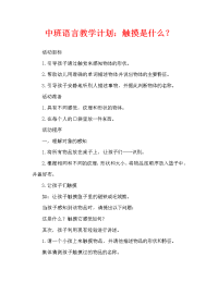 中班语言教案：摸摸是什么.doc