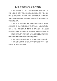 配电带电作业安全操作规程