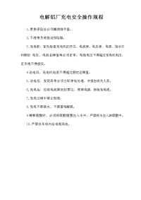 电解铝厂充电安全操作规程