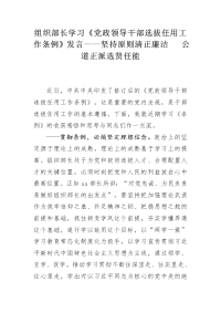 组织部长学习《党政领导干部选拔任用工作条例》发言——坚持原则清正廉洁  公道正派选贤任能