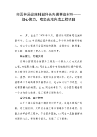 市园林局设施科副科长先进事迹材料——凝心聚力，攻坚克难完成工程项目