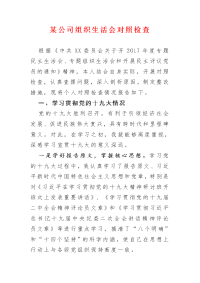 某公司组织生活会对照检查