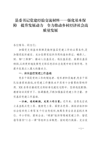 县委书记党建经验交流材料——强化基本保障  提升发展动力  全力推动乡村经济社会高质量发展