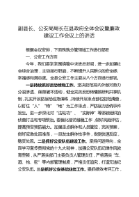 副县长、公安局局长在县政府全体会议暨廉政建设工作会议上的讲话