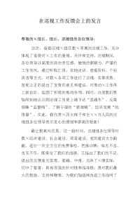 在巡视工作反馈会上的发言