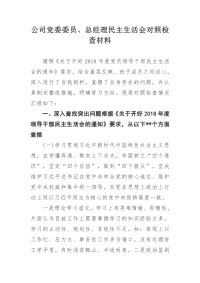 公司党委委员、总经理民主生活会对照检查材料