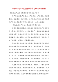 【精品】民政局三严三实专题教育学习研讨工作材料(二）