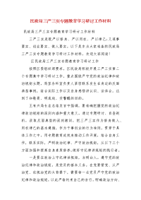 【精品】民政局三严三实专题教育学习研讨工作材料