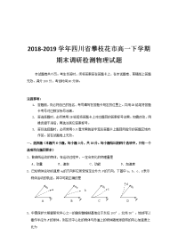 2018-2019学年四川省攀枝花市高一下学期期末调研检测物理试题