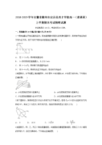 2018-2019学年安徽省滁州市定远县育才学校高一（普通班）上学期期末考试物理试题