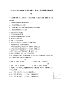 2018-2019学年山东省青岛城阳三中高一上学期期中物理试卷