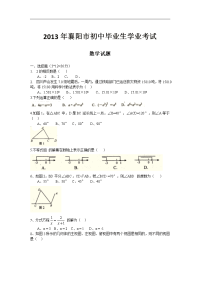 襄阳市2013年中考数学卷