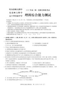 东北三省三校2020年高三第一次联合模拟考试 理综试题（PDF版含答案）