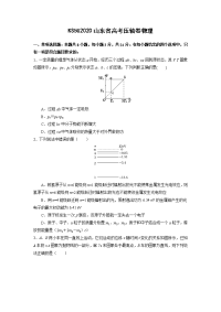 2020山东省高考压轴卷 物理