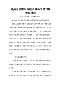 党员专项整治专题会领导干部对照检查材料