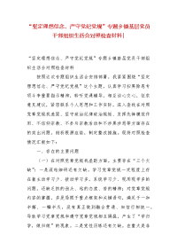 精编“坚定理想信念、严守党纪党规”专题乡镇基层党员干部组织生活会对照检查材料-