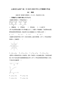 云南省文山州广南二中2019-2020学年高二上学期期中考试物理试题