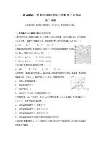 云南省峨山一中2019-2020学年高二上学期11月月考物理试题